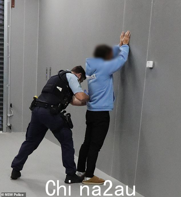 警方在悉尼西部的南库吉、帕拉马塔、西霍克斯顿和鸸鹋平原执行搜查令