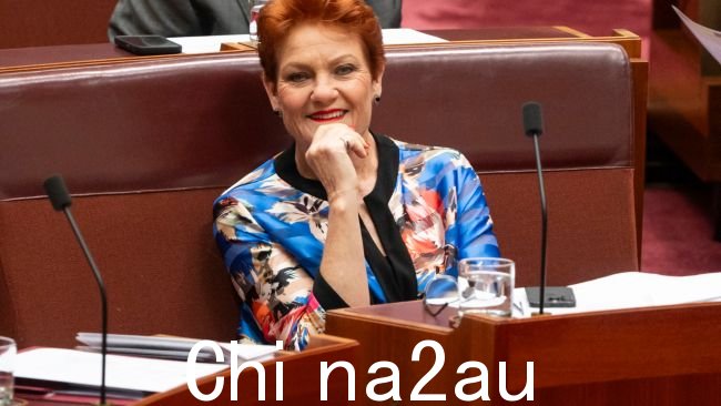 Pauline Hanson 庆祝 Peter Dutton 的预算回复演讲,称赞其政策“解决”了移民问题。图片:NCA NewsWire / Martin Ollman
