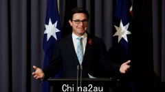 “让 Twiggy 中饱私囊”：国家党领袖 David Littleproud 攻击工党的可再生能源激励措施