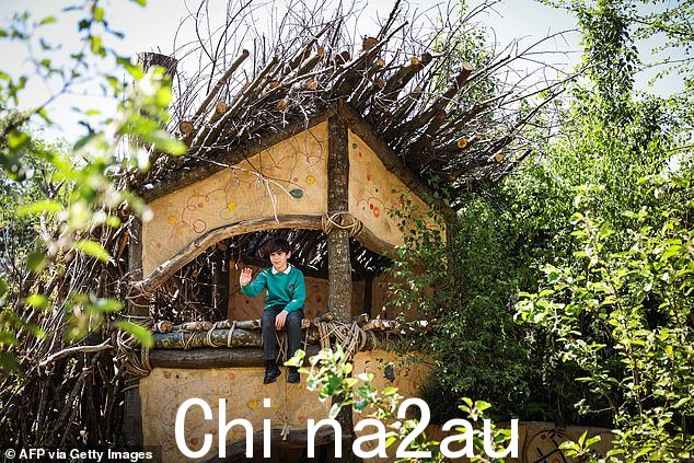 在设计师 Harry Holding 及其团队的帮助下,由儿童为儿童打造,其中包括一个带滑梯进入天然水景的书房