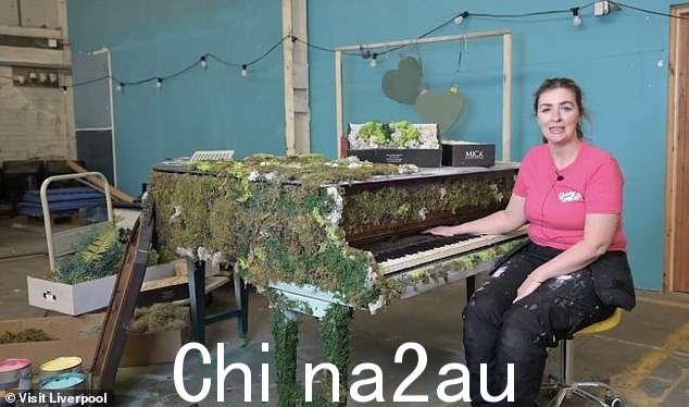 一架令人惊叹的苔藓覆盖的三角钢琴将代表永恒的时代