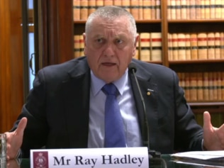 2GB 主持人雷·哈德利 (Ray Hadley) 称,在议会调查。图片:澳大利亚天空新闻。