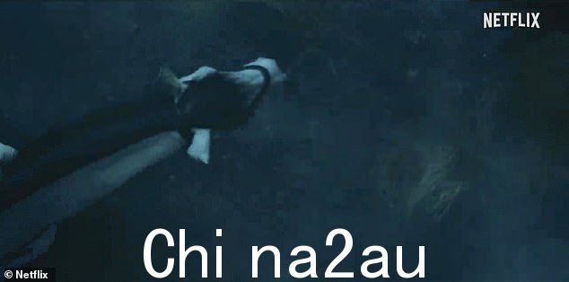 在一个有雾的夜晚,有人看到他在树林里牵着白马穿过泥泞