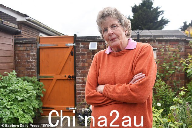 米尔斯夫人有四个孙子,她在袭击后追赶这些混蛋,她的邻居也帮助追赶他们