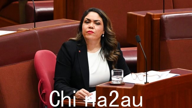 参议员 Jacinta Nampijinpa Price 表示劳拉廷格尔的评论可能会引起分裂。图片:NCA NewsWire / Martin Ollman