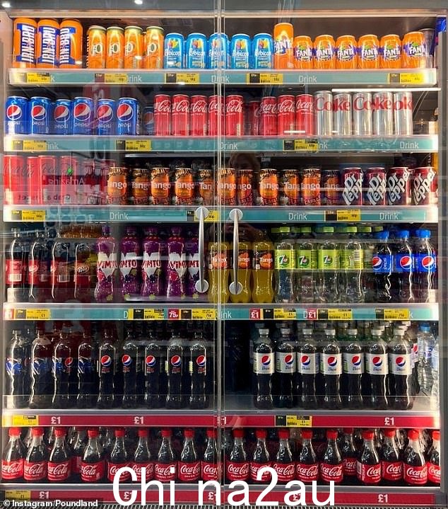 Poundland 表示,该公司正在为任何想要购买午餐优惠的人提供“无与伦比”的价格