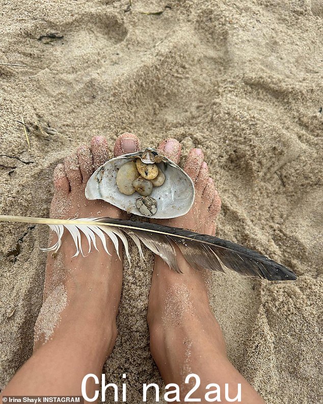 她还在海滩上发现了一些贝壳