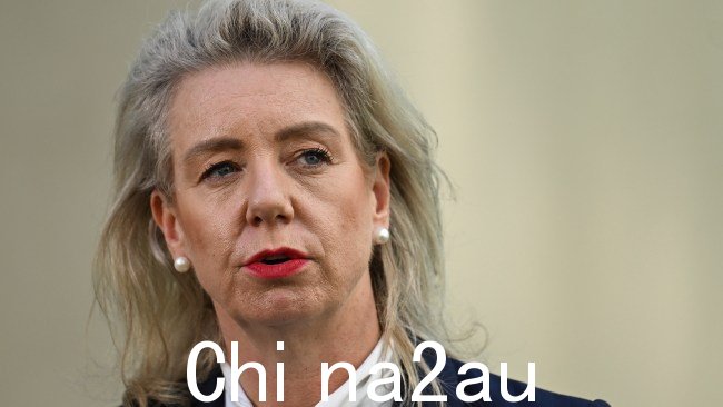 麦肯齐女士在周三的参议院听证会上向这位高级管理人员提出了质疑。图片:NCA NewsWire / Martin Ollman