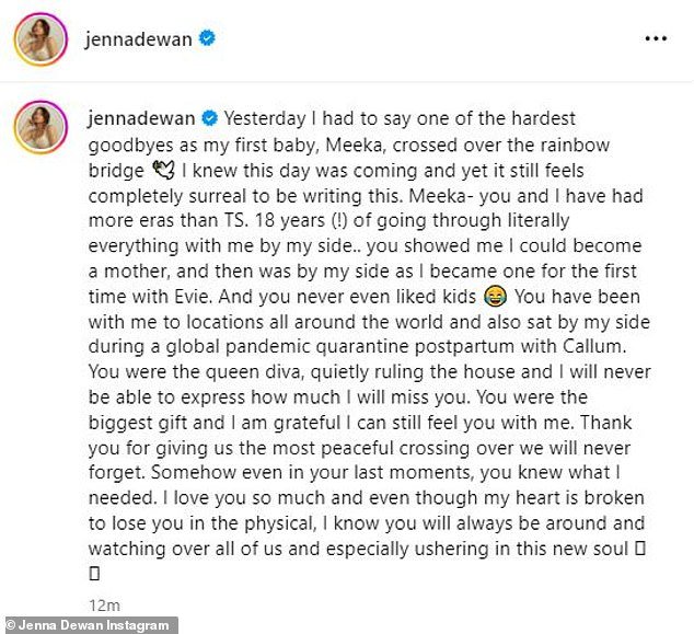 Jenna 在去世 18 年后向她的狗表达了深切而衷心的敬意