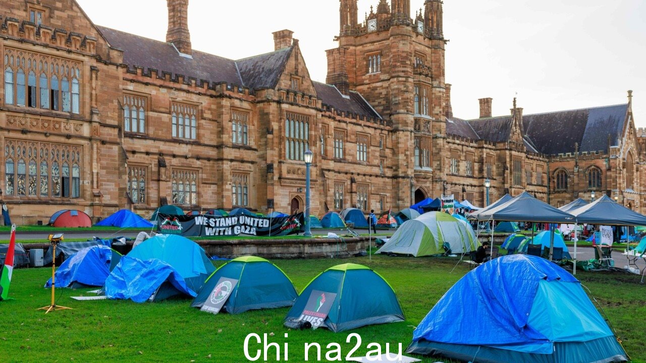 '荒谬': 悉尼大学副校长猛烈抨击“奖励”亲巴勒斯坦抗议者” fetchpriority=