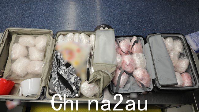 这名 18 岁男子被捕并被指控一项罪名边境管制药物的进口。图片:ABF