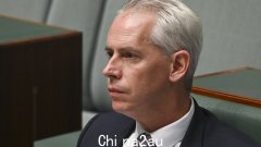 移民部长安德鲁·贾尔斯（Andrew Giles）仍在忙于发布新指令，因为另一名外国人获准居留
