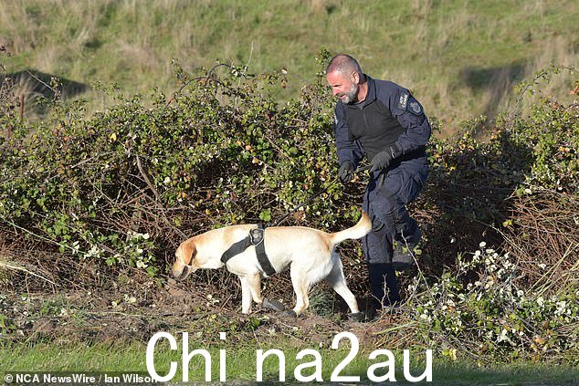 维多利亚警方搜索人员使用嗅探犬在 5 月 29 日的定向搜索过程中