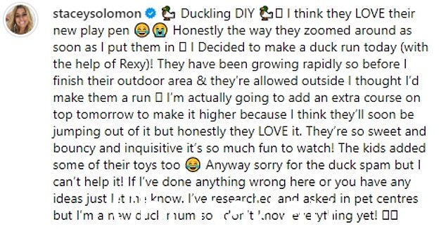 '小鸭 DIY,'她说,'老实说,我认为他们喜欢他们的新游戏笔,当我把它们放进去时,他们就会四处张望。'