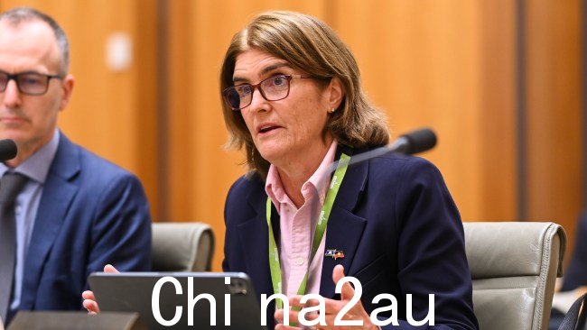 澳洲联储行长米歇尔·布洛克的利率警告引起了澳大利亚人的担忧。图片:NCA NewsWire / Martin Ollman。