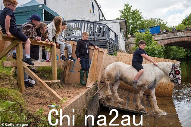 旅行者孩子们看着一个男孩骑马进入河中