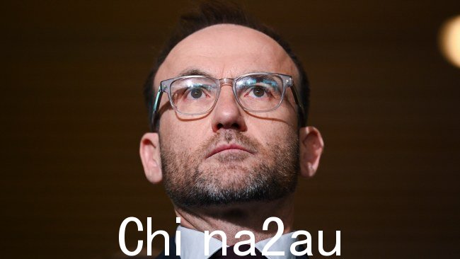 绿党领袖 Adam Bandt 发表了激烈的演讲参加支持巴勒斯坦的集会,攻击政治双方的批评者,宣称他们散布有关有争议抗议活动的“谎言”。图片:NCA NewsWire/Martin Ollman