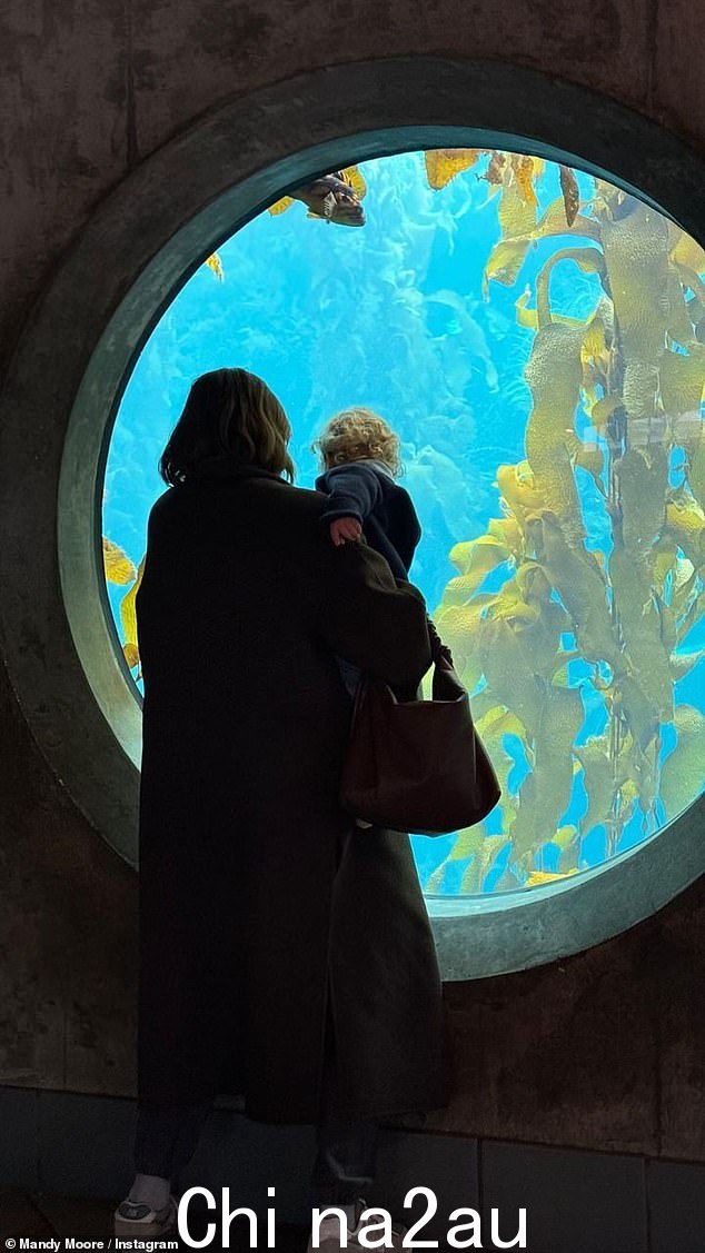 妈妈在当地水族馆饲养了许多不同的鱼类和其他海洋生物