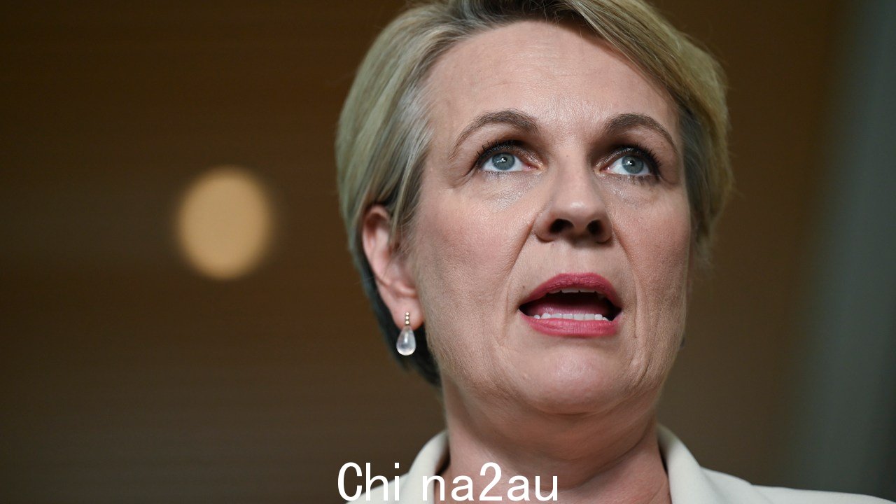 Plibersek 女士认为试验将使用技术来确保低于最低年龄的儿童不会使用社交媒体。图片:NCA NewsWire / Martin Ollman