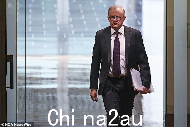 会计师们将 Anthony Albanese 政府(如上图所示)提出的新立法描述为“站不住脚”
