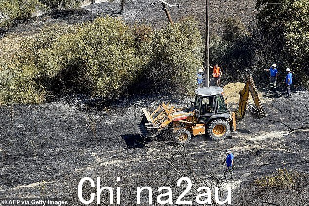 民防队员站在挖掘机旁,在持续的热浪中调查塞浦路斯发生火灾后的损失