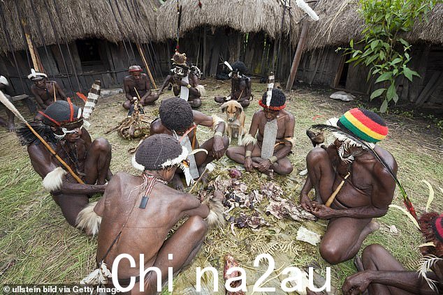 在西巴布亚巴列姆山谷的达尼村,部落成员正在准备猪节
