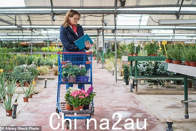 您可以使用当地花园中心的一些预先种植的容器来整理草坪