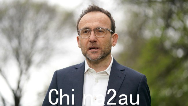 绿党长期以来一直支持降低投票年龄,党魁 Adam Bandt 表示将于 2022 年投票“我遇到的 16 岁和 17 岁的年轻人比大多数现任部长更了解澳大利亚面临的挑战。”图片:NCA NewsWire / Luis Enrique Ascui
