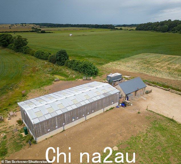 CLARKSON'S FARM -- Swift 必须勇敢地在 Diddly Squat 农场商店里勇敢地排队
