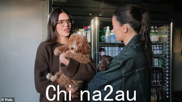 早些时候,肯德尔从她妹妹金·卡戴珊 (Kim Kardashian) 在比佛利山庄的 Balenciaga 秀中剪掉,带着一只可爱的毛茸茸的小狗去拜访凯莉的家