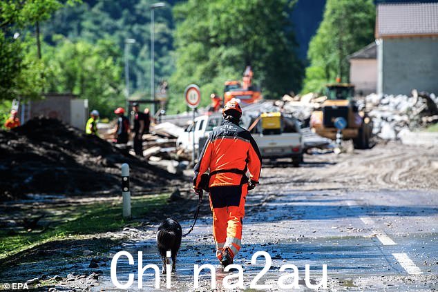 救援人员在山体滑坡现场搜救期间遛狗
