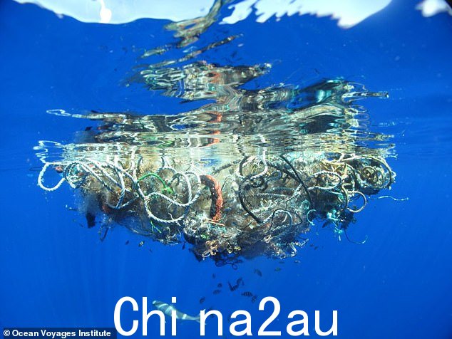 Egger 解释说,该系统的设计目的是为海洋生物提供大型逃生路线,它们可以游到底部,而不会丢失任何倾向于漂浮到顶部的塑料