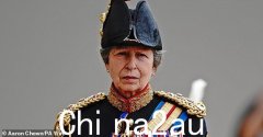 安妮公主住院最新消息：皇家公主在盖特科姆公园庄园的“马匹事件”中受伤