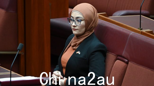 佩曼参议员直言不讳地支持巴勒斯坦国并谴责以色列在加沙的战争,这使她与大多数同事的矛盾越来越大。图片:NewsWire/Martin Ollman