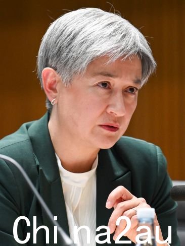 外交事务参议院领导政府的部长黄英贤投票反对绿党的动议。图片:NewsWire/Martin Ollman