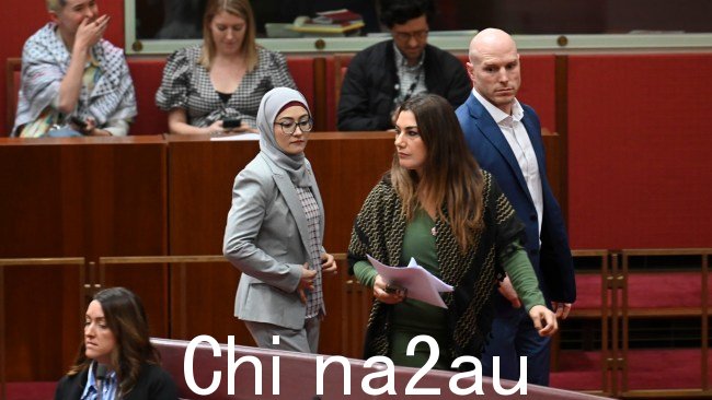 参议员佩曼在一项承认巴勒斯坦建国的动议上有争议地站在绿党和两名独立参议员一边 - 该动议最终被否决。图片:NewsWire/Martin Ollman