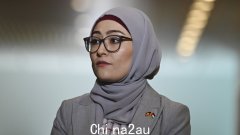 总理安东尼·阿尔巴内斯声称将法蒂玛·佩曼逐出党团会议显示出“领导力”，但并未表示叛军参议员被停职