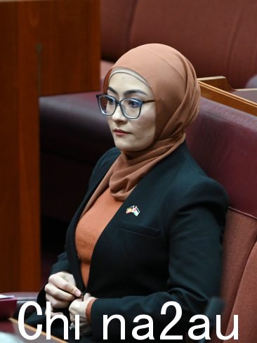 佩曼参议员选择与绿党和两名独立人士一起投票支持承认巴勒斯坦国的动议,并声称她觉得坚持自己的信仰让“每个人都感到自豪”。图片:NewsWire/Martin Ollman