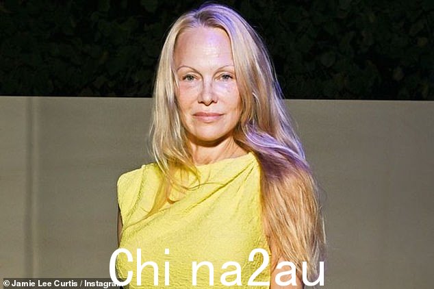 海滩救护队电视明星帕梅拉·安德森 (Pamela Anderson) 是阿桑奇的常客,当时阿桑奇躲在厄瓜多尔大使馆,导致有传言称两人有过浪漫关系