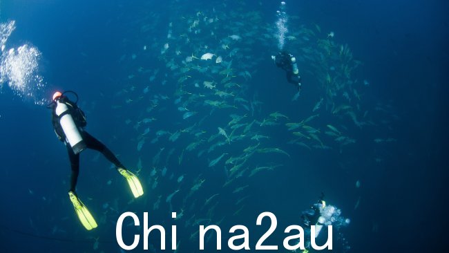 一名男子在热门景点潜水时死亡昆士兰州金皮地区彩虹海滩附近的旅游胜地。图片:新闻区域媒体