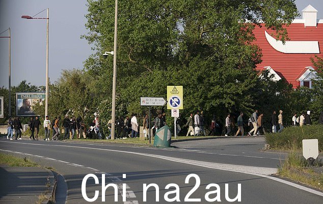 一群移民前往科凯勒的林地,距离海峡海滩不远