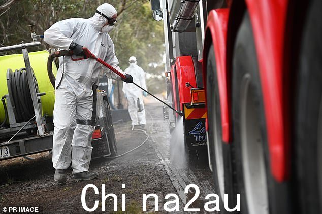 维多利亚州爆发禽流感后,身着防护服的工人在隔离区清洁卡车