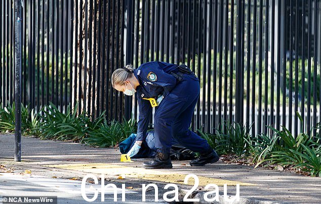 新南威尔士州警方和反恐部门的侦探于周三返回 RPA 医院,这名青少年目前正在医院接受治疗(图为周二犯罪现场的警察)