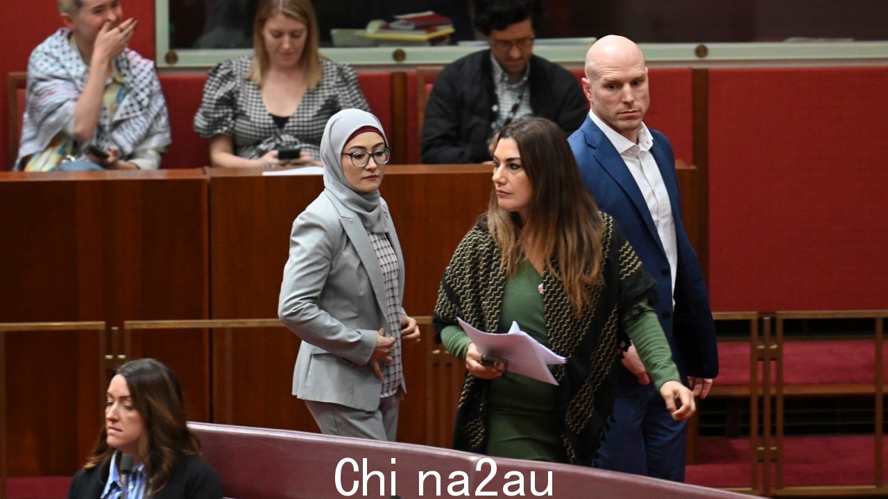 佩曼女士有争议地穿过参议院,与绿党和大卫·波科克一起就巴勒斯坦建国问题进行投票。图片:NewsWire / Martin Ollman