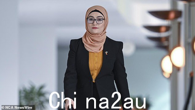 由于担心工党在巴勒斯坦问题上的立场,法蒂玛参议员于周四退出工党。图片:NewsWire / Martin Ollman