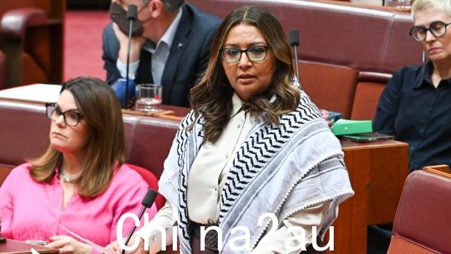 绿党参议员 Mehreen Faruqi 在一次暴躁的采访中多次拒绝呼吁解散哈马斯,同时她也拒绝谴责亲巴勒斯坦的抗议活动“有点丰富”。图片:NewsWire/Martin Ollman
