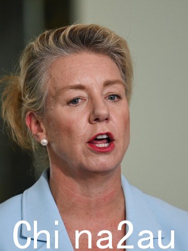 Shadow 基础设施部长 Bridget McKenzie 表示,阿尔巴尼亚政府做得还不够解决家庭暴力。图片:NCA NewsWire / Martin Ollman