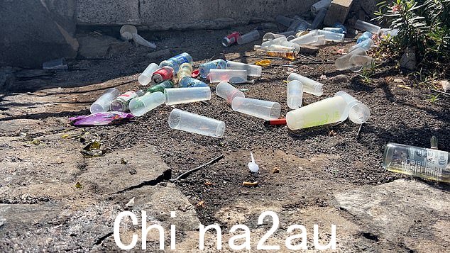 英国毒贩正在与意大利黑手党争夺岛上毒品贸易的控制权。街头毒贩的腰包里藏着毒品,在大街上游荡,向年轻的狂欢者出售毒品