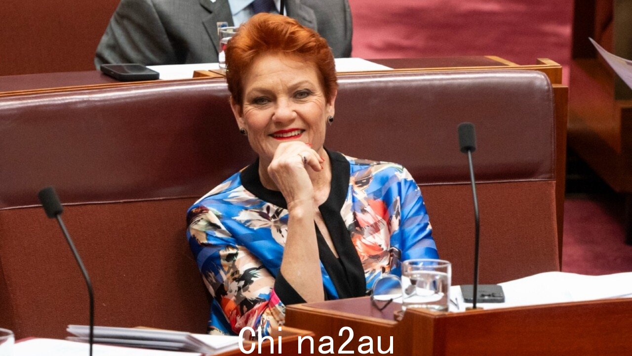 '对他们构成威胁':宝琳·汉森 (Pauline Hanson) 的《一国论》让昆士兰工党“害怕”” fetchpriority=