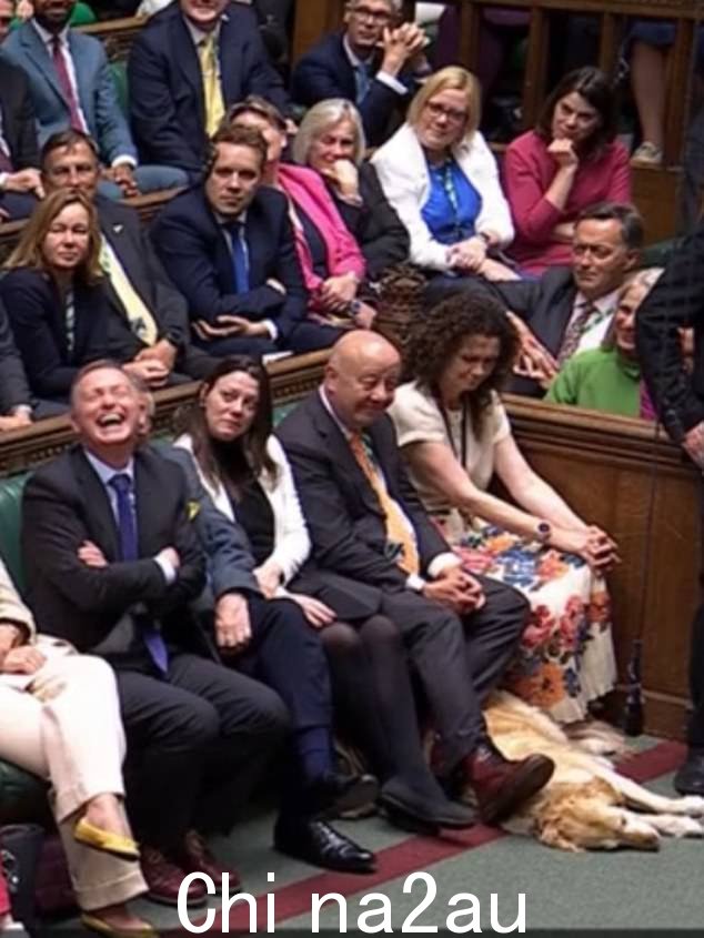 Jennie 在埃德·戴维 (Ed Davey) 在新议会中发表首次演讲时出现在下议院的电视演讲中